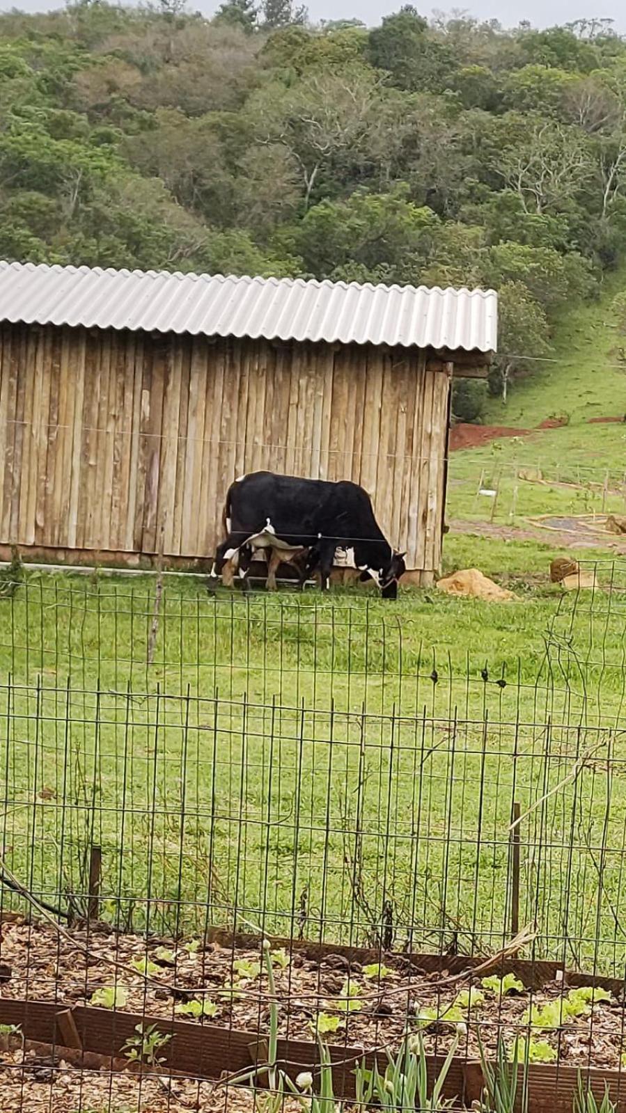 Pousada Rancho Do Lago Osorio Exteriör bild